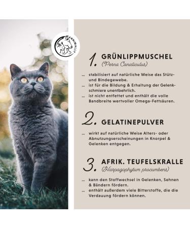 Annimally Joint Powder for Cats | 120g - Natural Joint Support with Green Lipped Mussel MSM Devil's Claw Taurine Glucosamine & Turmeric - 4-Month Supply - Buy Online on GoSupps.com