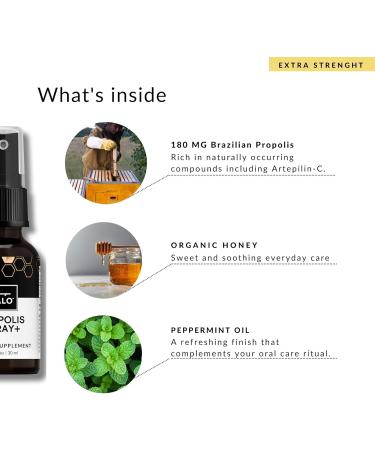PALO Propolis Throat Spray Bee Brazilian Green Propolis Extract Natural Immune Support & Sore Throat Relief - Antioxidants Keto Paleo Gluten-Free (1.06 oz | 30 ml) (Extra Strenght) Extra Strength with Peppermint - Buy Online on GoSupps.com