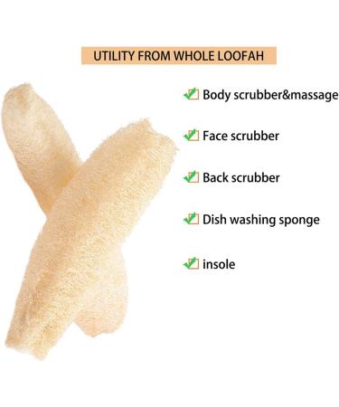 Foochow Natural Luffa Sponge - Eco-Friendly Loofah for Body & Dish Cleaning (13-22 cm) - Perfect Bathing Peel & Rinse - Buy Online on GoSupps.com
