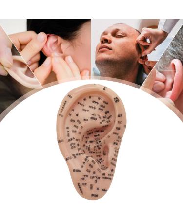 Peosaard Ear Seed Acupuncture Kit - Complete Set with Ear Model Stains Tweezers & Guide Book for Effective Ear Acupuncture - Buy Online on GoSupps.com