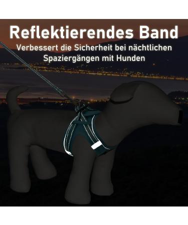 UVTQSSP Lightweight Dog Harness for Small Dogs - Padded XS Puppy Harness with Leash - Light Blue - Buy Online on GoSupps.com