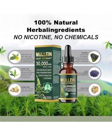 Gouttes d'extrait de feuille de mol ne bio nettoyantes pour poumons extrait de mol ne pour poumons formule naturelle nettoyage et soutien respiratoire convient pour homme et femme (1 pi ce) 1 Pi ce. - Buy Online on GoSupps.com