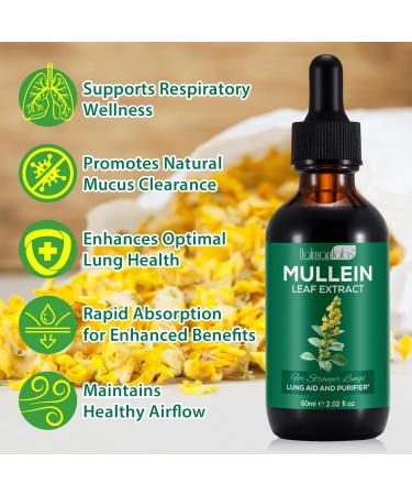Mullein Leaf Extract for Lungs, Mullein Drops for Lungs with Chrolophyll, Support Lung, Respiratory Function for Healthy Breathing, Improvement in Pulmonary Function,Natural & Safe Supplement(1 PC) 2.02 Fl Oz (Pack of 1) - Buy Online on GoSupps.com