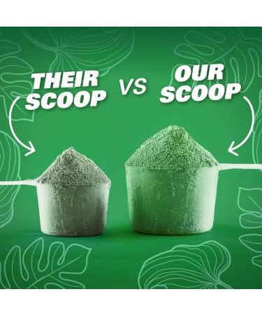 EHPlabs OxyGreens Super Greens Powder - Spirulina & Chlorella Superfood Green Juice Powder & Greens Supplements with Prebiotic Fibre Antioxidants & Immunity Support 30 Serves (Passionfruit) Passionfruit 30 Servings - Buy Online on GoSupps.com