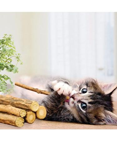 WoLover Cat Catnip Sticks - Natural Matatabi Silvervine Chew Toy for Cats | Teeth Cleaning & Molar Tools | 10 PCS - Buy Online on GoSupps.com