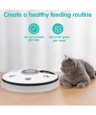 Chintu Automatic Cat Feeder - Programmable Pet Food Dispenser for Small Dogs - Portion Control, Timed Smart Feeding with Voice Reminder - Buy Online on GoSupps.com