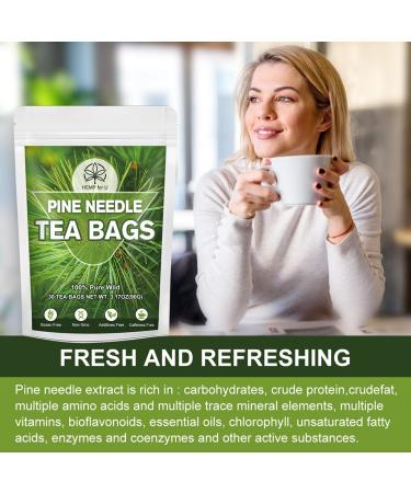 Organic Dried Pine Needle Tea Bags - 30 Natural Caffeine-Free Triangle Teabags for Immunity Support - Buy Online on GoSupps.com