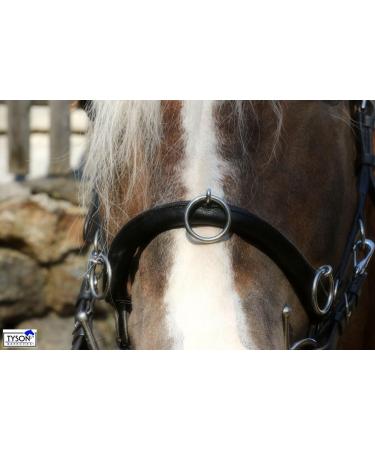 Buy Tysons Breeches Cavesson Leather - Extra Large Coldblood X-Full XX Full with Bit Attachment | Premium Quality Horse Tack - Buy Online on GoSupps.com