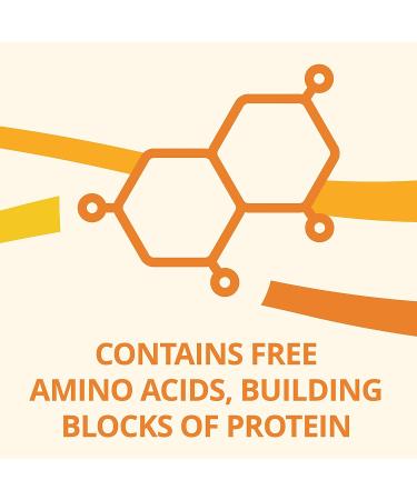 PurAmino Hypoallergenic Infant Drink 14.1 Oz (Pack of 4) - Omega-3 DHA, Iron, Immune Support for Severe Food Allergies - Buy Online on GoSupps.com