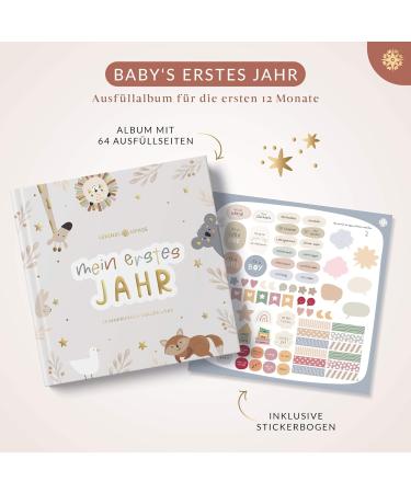 Life Compass Baby Album - My First Year Clay Book with 75+ Stickers & Saying Cards | Memory Diary for Boys & Girls | International Shipping - Buy Online on GoSupps.com