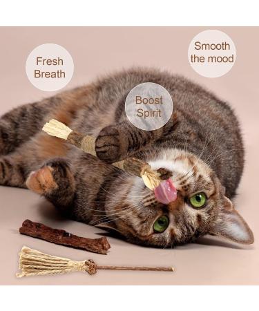 Buy Tao Pipe Catnip Sticks - 6 Interactive Matatabi Chewing Toys for Dental Care & Fresh Breath - Safe Silver Vine Sticks for Cats - Buy Online on GoSupps.com
