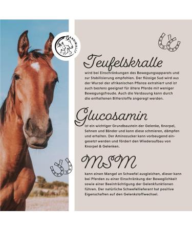 Annimally Joint Liquid for Horses 1000ml - Devil Claw Glucosamine & MSM for Joint Health - Liquid Supplement Alternative to Powder - Buy Online on GoSupps.com