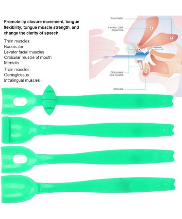 Tongue Trainer Mouth Exerciser Rehabilitation Oral Lips Muscle Recovery Device Lip Mouth Exerciser Oral Motor Tips for Down Syndrome - Buy Online on GoSupps.com