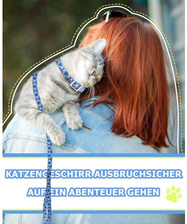 Supet Adjustable Cat Dishes with Leash - Outbreak-Proof Perfect for Large & Small Cats Kitten Dishes Set for Walking - Blue (M: Chest Size 28-48cm) - Buy Online on GoSupps.com