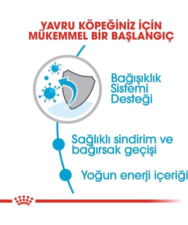 Royal Canin X-Small Puppy Dry Food 1.5kg - Buy Online on GoSupps.com