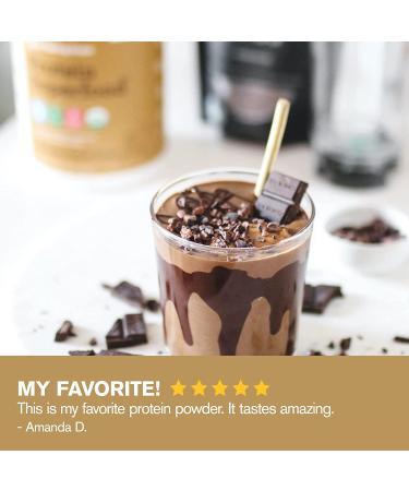 Buy Amazing Grass Protein Superfood Chocolate Peanut Butter 15.1 oz - Nutrient-Dense Protein Blend - Buy Online on GoSupps.com