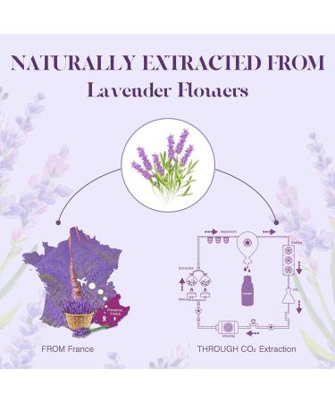 ASAKUKI Lavender Essential Oil 100mL - 100% Natural Therapeutic Grade for Better Sleep & Relaxation - Buy Online on GoSupps.com