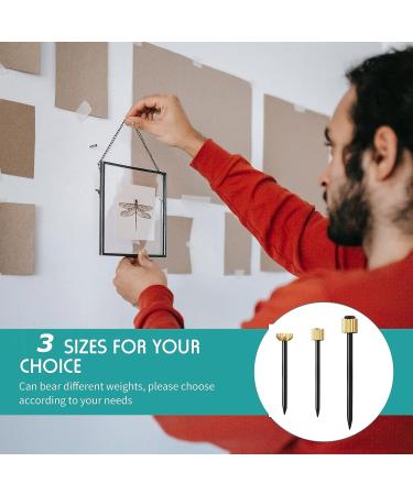 Hotop Picture Hanging Nails Picture Frame Nails Black Steel Nails and Brass Head Picture Frame Hangers Nails Hardware  5-30 lbs (75 Pieces Small  Medium  Large) Small  Medium  Large 75 - Buy Online on GoSupps.com