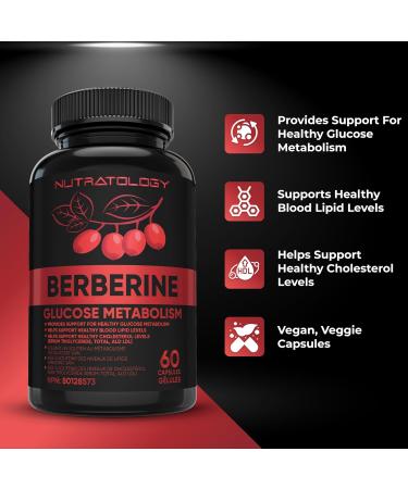 Berberine Supplement - Max Potency 500MG Per Capsule - Supports Glucose Metabolism - Healthy Blood Sugar Levels Through Efficient Metabolism Of Glucose (Sugar) And Lipids (Fats) - 60 Capsules 60 count (Pack of 1) - Buy Online on GoSupps.com