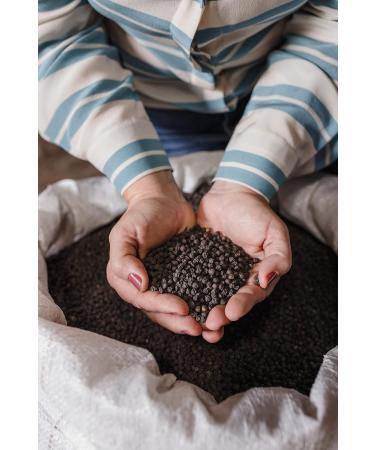 200g Organic Kampot Black Pepper Whole Cambodian Peppercorn Pepper Mill or Mortar - Buy Online on GoSupps.com