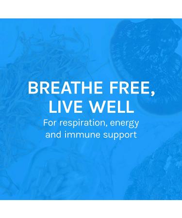 Fungi Perfecti Breathe Healthy: 60 Vegetarian Capsules for Respiratory Support - Buy Online on GoSupps.com