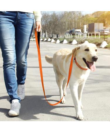 Tagme Personalized Reflective Dog Collar for Large Dogs - Embroidered with Name & Phone Number - Orange XL - Durable Nylon (1 Pack) - Buy Online on GoSupps.com