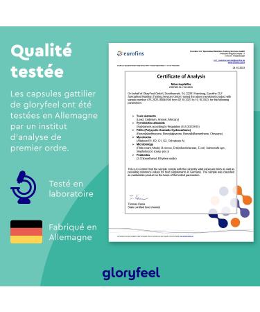 Pure Chaste Tree Extract (240 Capsules) 8 Month Supply 10mg per Daily Dose Agnus Castus Vitex Concentrated Extract 4:1 and Highly Dosed 100% Vegan No Flavors and Additives - Buy Online on GoSupps.com