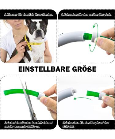 Shop Nepfaivy Light Neck Band for Dogs - USB Charging LED Collar Waterproof 3 Lighting Modes Adjustable for Large & Medium Dogs (Rosa-B) - Buy Online on GoSupps.com
