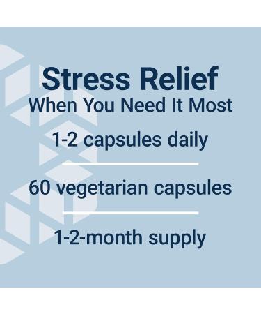 Life Extension GABA Stress Support GABA Supplement Mood Support Sleep Relaxation Gluten-Free Non-GMO Vegetarian 60 Capsules - Buy Online on GoSupps.com