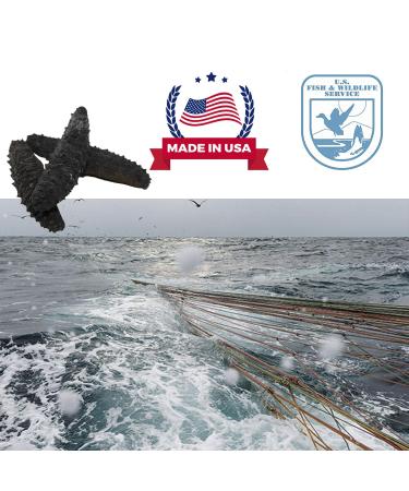 DOL Wild Caught Sun Dried Atlantic Black Pin Sea Cucumber 8oz - All Natural Nutritious, Large Size - 1 Count - Buy Online on GoSupps.com