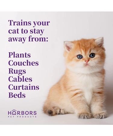 Harbor's Scented Cat Repellent Spray - 4 oz Indoor Training Solution for Furniture and Plants - Orange Scent - Buy Online on GoSupps.com