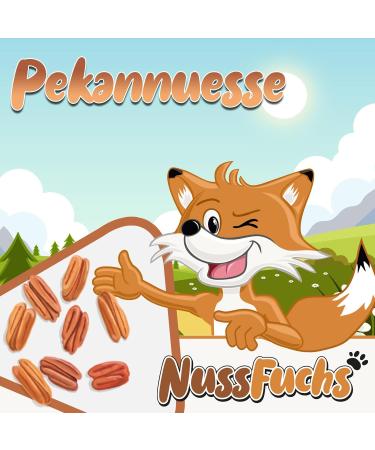 Pecanus Pecanuss 1kg - Raw Unsalted Whole Pecans & Halves - Natural No Additives - International Shipping Available - Buy Online on GoSupps.com