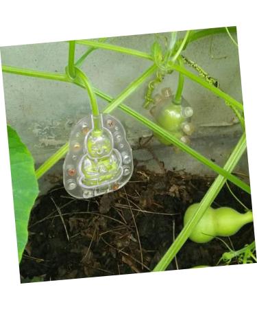 Sosoport 20 Pcs Fruit Mold Fruit Planting Mold Adorable Forming Mold Clear Fruit Buddha Shaped Cake Mold Garden Fruit Mould Growth Clear Mold Fruits Mold 3D Gourd Little Buddha Plastic 7.5X5.7cmx5pcs As Shownx5pcs - Buy Online on GoSupps.com