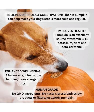 Bag & Boop Pumpkin Powder for Dogs - Natural Digestive Aid for Diarrhea & Anal Scooting (200g) - Buy Online on GoSupps.com