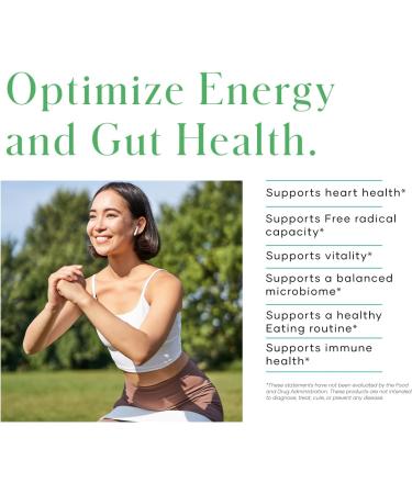 Modere PHYTOGREEN Powder - Daily Greens Wellness Formula Easy to Mix Plant-Based Blend for Everyday Routines Convenient Canister - 135 g - Buy Online on GoSupps.com