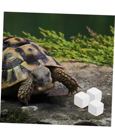 ORFOFE 12pcs Pet Mineral Hermit Crab Shells Cold Shipping Boxes White - Buy Online on GoSupps.com