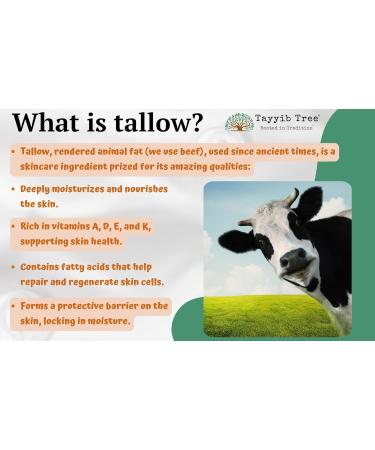 Tallow & Honey Balm - Intense Relief for Acne Eczema Psoriasis Dry Skin - with Grass-fed Tallow Raw Honey & Organic Jojoba Oil - 60ml (Classic Unisex) - Buy Online on GoSupps.com
