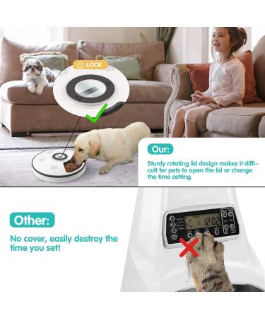 Chintu Automatic Cat Feeder - Programmable Pet Food Dispenser for Small Dogs - Portion Control, Timed Smart Feeding with Voice Reminder - Buy Online on GoSupps.com