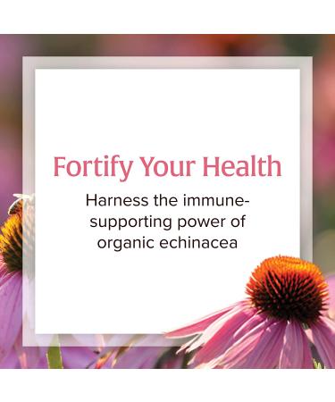 Natural Factors Anti-V Formula with Echinamide 3.4 fl oz | Immune Support Supplement - Buy Online on GoSupps.com