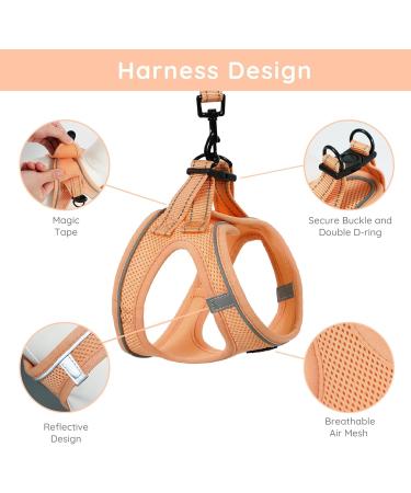 Buy Bella & Pal Dog Harness for Small Dogs - Reflective Breathable Air Mesh with Leash Perfect for Puppies & Cats - XS Fit (30-35cm) - Peach Color - Buy Online on GoSupps.com