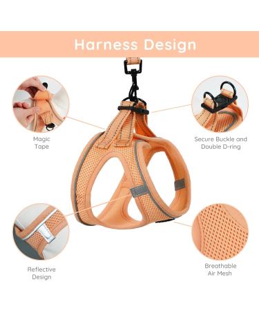 Buy Bella & Pal Dog Harness for Small Dogs - Reflective Breathable Air Mesh with Leash - Perfect for Puppies & Cats - Peach Color - 40-45cm - Buy Online on GoSupps.com