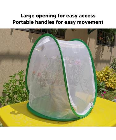 CHICIRIS Butterfly Habitat Pop Up Monarch Butterfly Enclosure Clear Insect Cage Terrarium with Handle 13.2 x 13 x 14.4in - Buy Online on GoSupps.com