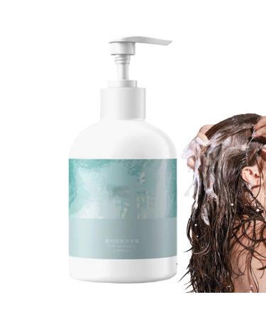 WJnflQN Shampoo for Oily Hair | Daily Clarifying Shampoo for Women | Absorbs Excess Oil | Oily Hair Care for Home School and Travel