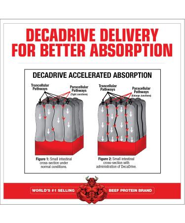MuscleMeds Amino DECANATE Fruit Punch - Full Spectrum Amino Acid Complex for Muscle Recovery - 30 Servings - Buy Online on GoSupps.com