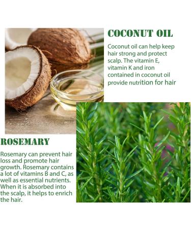 Hocossy Rosemary Oil for Hair Growth Organic Rosemary Essential Oil for Hair Care Hair Strengthening Oil for Stronger Healthier Hair Nourishes The Scalp 60ml - Buy Online on GoSupps.com