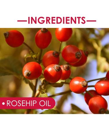 JINGAN Rosehip for Face | Organic Cold Pressed Rosehip 30ML Moisturizing Facial Oil for Face Body Mature Skin Care - Buy Online on GoSupps.com