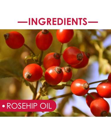 Organic Rose Toy Oil - Cold-Pressed Rosehip Face Oil for All Skin Types | 30ml Moisturizing Skin Care & Essential Oil for Nails & Hair - Buy Online on GoSupps.com