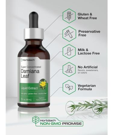 Horb ach Damiana Leaf Herb Tincture | 2 fl oz | Super Concentrated | Alcohol Free Liquid Extract | Vegetarian Non-GMO & Gluten Free Herbal Supplement - Buy Online on GoSupps.com