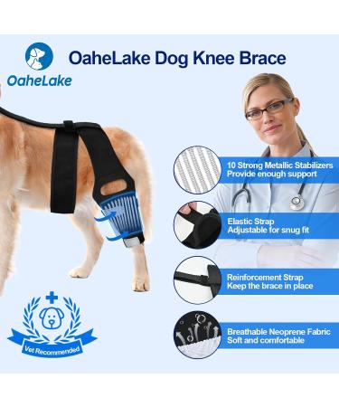 OaheLake Dog Knee Brace for Torn ACL Hind Leg Dog Hip Shoulder Elbow brace Support Dogs with ACL CCL Cruciate Ligament Injuries Patella Dislocation or Osteoarthritis for Both Back and Front Legs Medium - Buy Online on GoSupps.com