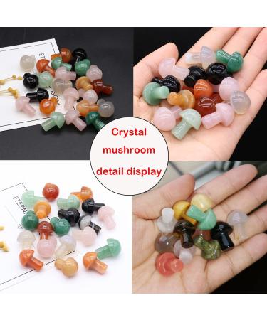 MEISO Healing Crystals 12 Pcs Agate Quartz Crystal Mushroom Shape Decor Cute Natural Healing Mushroom Decor for Meditation Chakra Balancing Reiki Yoga Garden Yard Decoration Fish Tanks Home Decor 12 Pcs (Crystal) - Buy Online on GoSupps.com